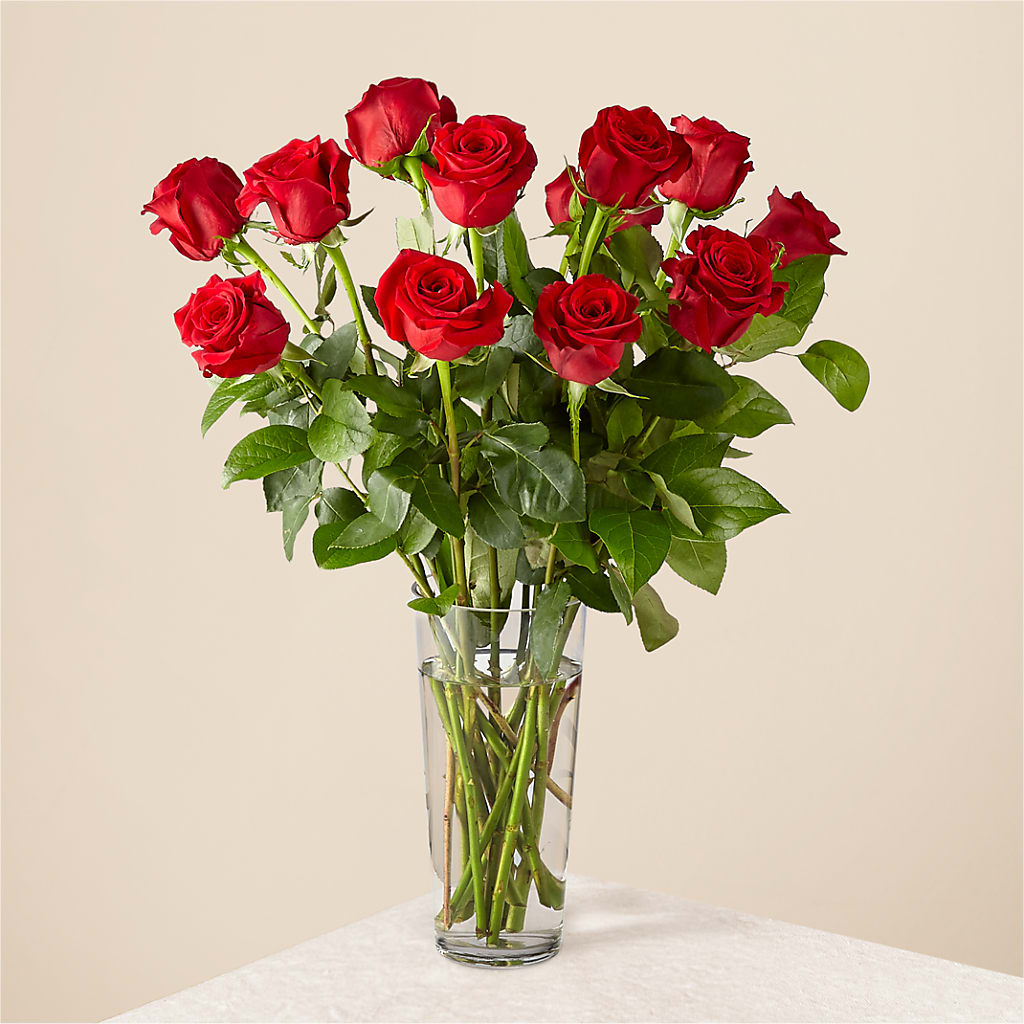 Long Stem Red Rose Bouquet – VASEFUL FLOWERS & GIFTS, Princeton NJ
