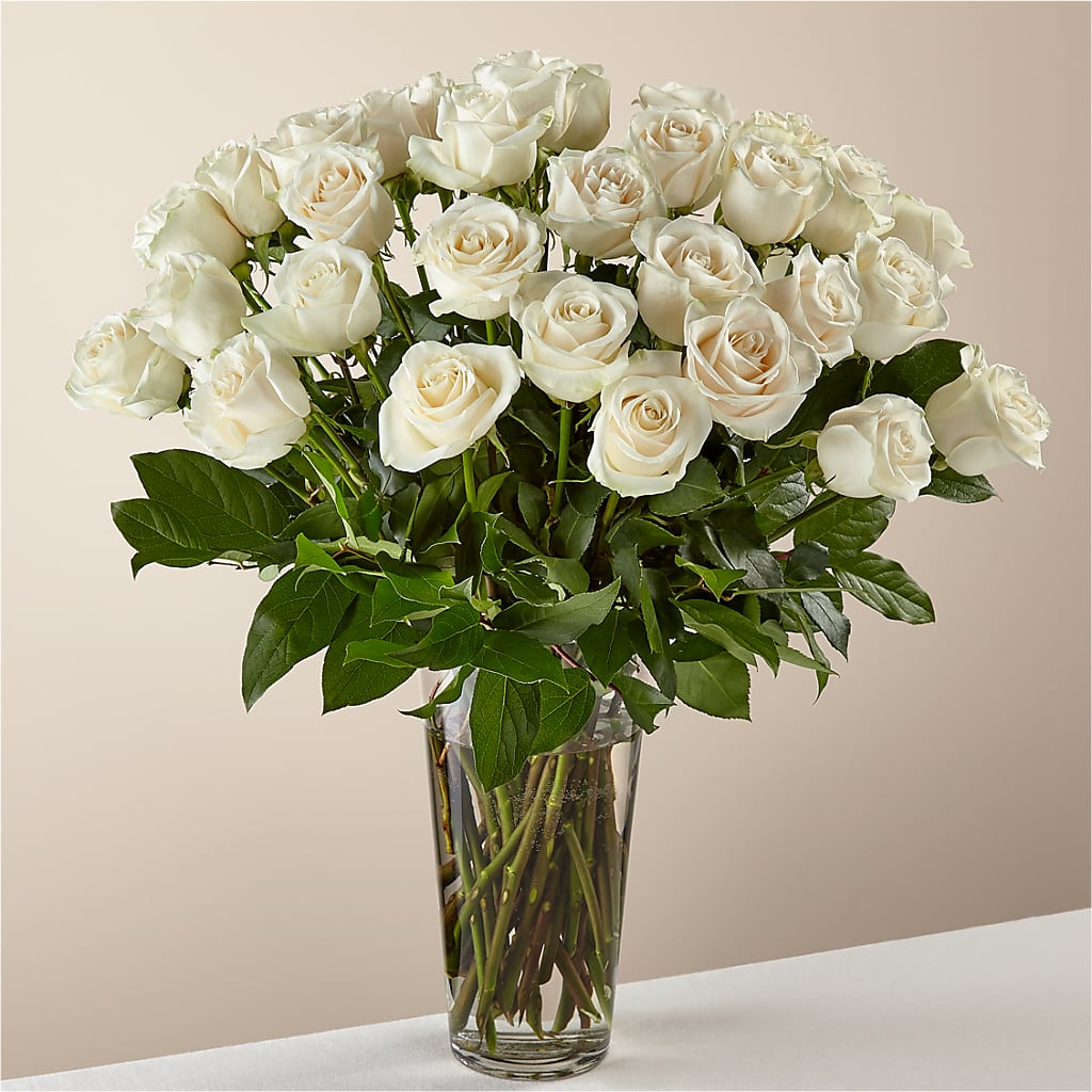 Long Stem White Rose Bouquet – VASEFUL FLOWERS & GIFTS, Princeton NJ