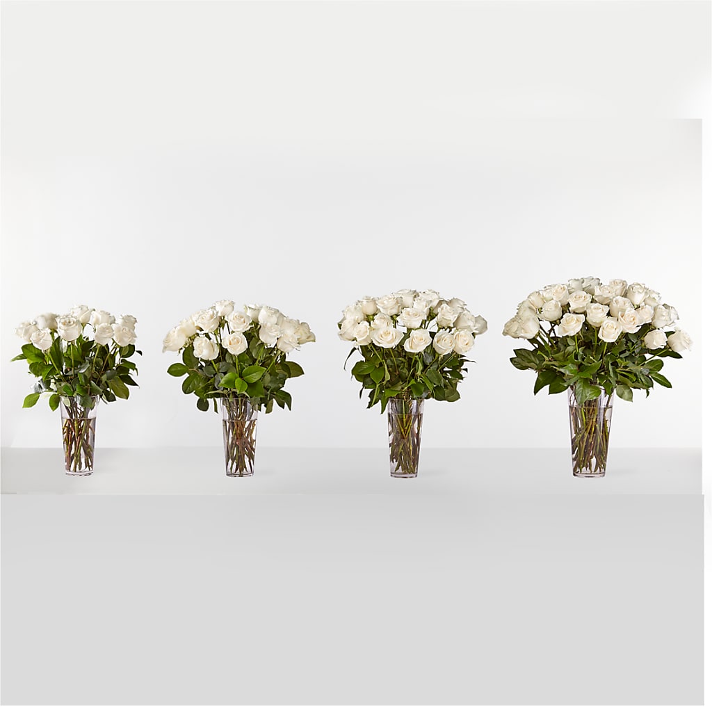Long Stem White Rose Bouquet – VASEFUL FLOWERS & GIFTS, Princeton NJ