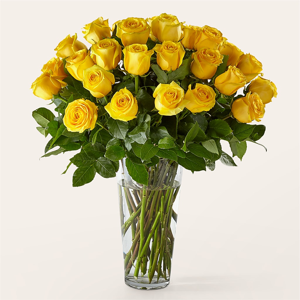 Long Stem Yellow Rose Bouquet – VASEFUL FLOWERS & GIFTS, Princeton NJ