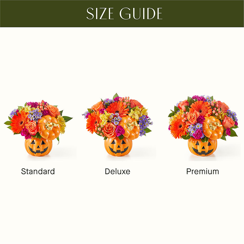 Tricks & Treats Pumpkin – VASEFUL FLOWERS & GIFTS, Princeton NJ