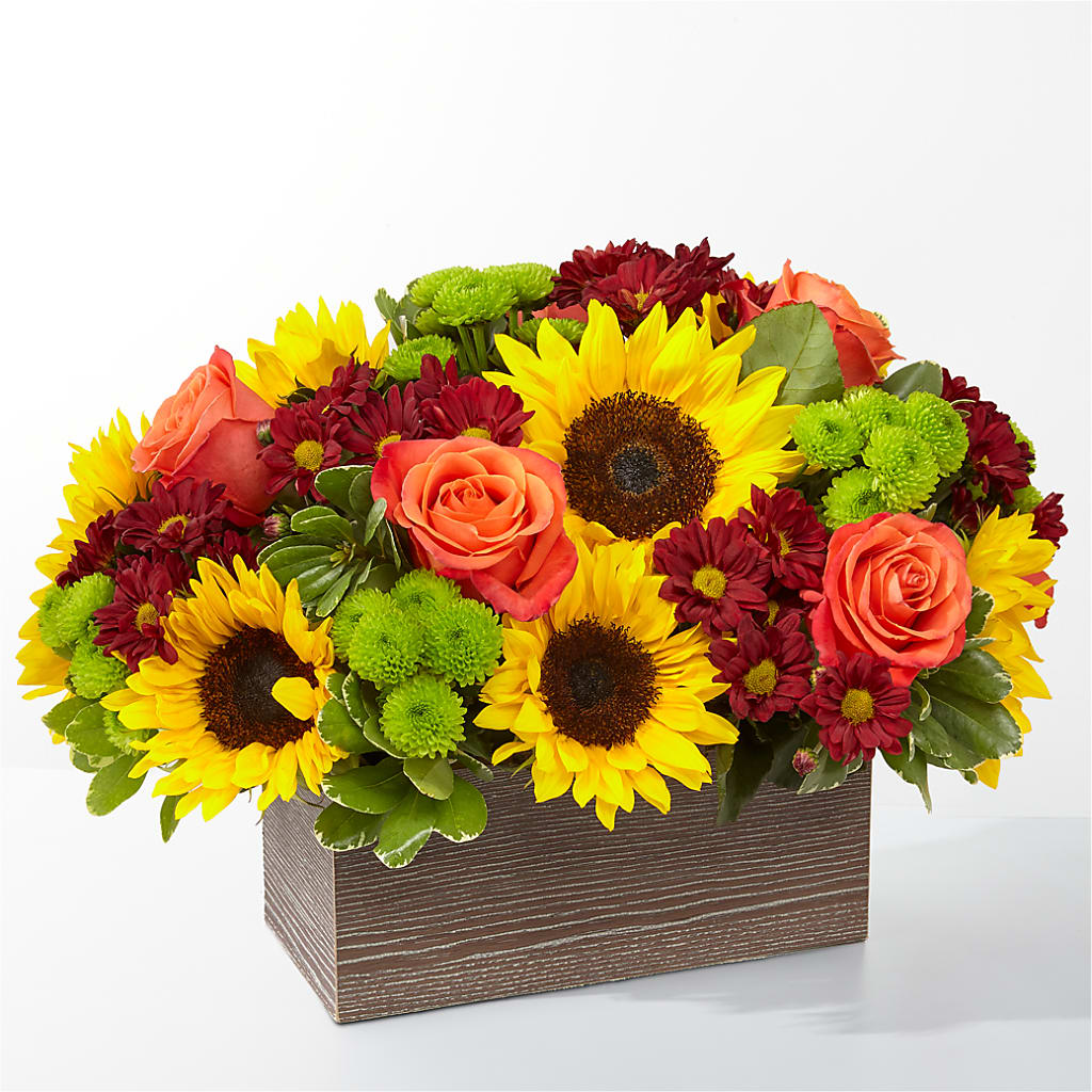 Happy Harvest Garden – VASEFUL FLOWERS & GIFTS, Princeton NJ