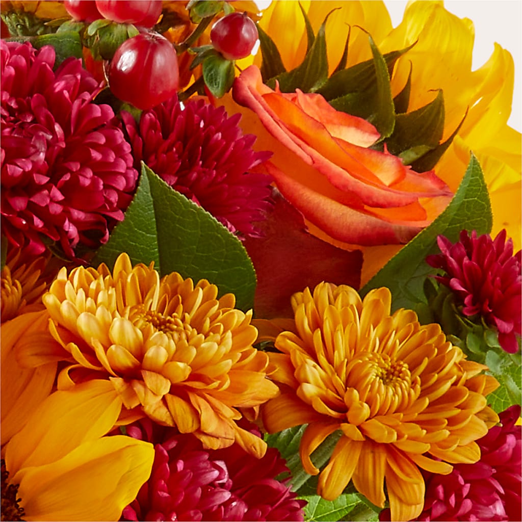 Sweater Season - A Florist Original – VASEFUL FLOWERS & GIFTS, Princeton NJ