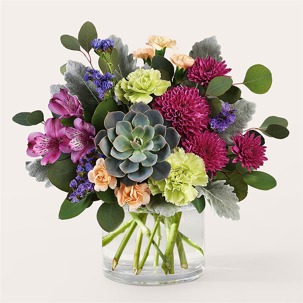 Botanical Dream Bouquet – VASEFUL FLOWERS & GIFTS, Princeton NJ