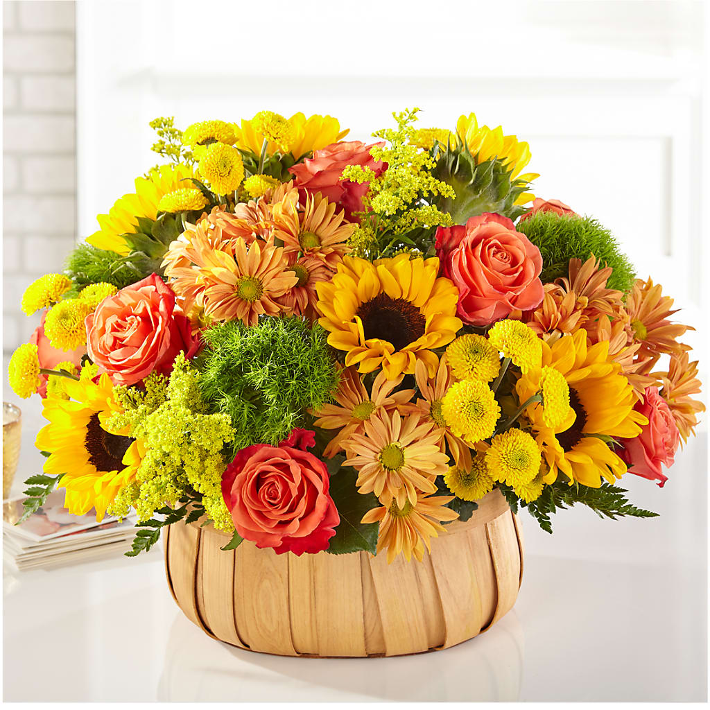 Harvest Sunflower Basket – VASEFUL FLOWERS & GIFTS, Princeton NJ