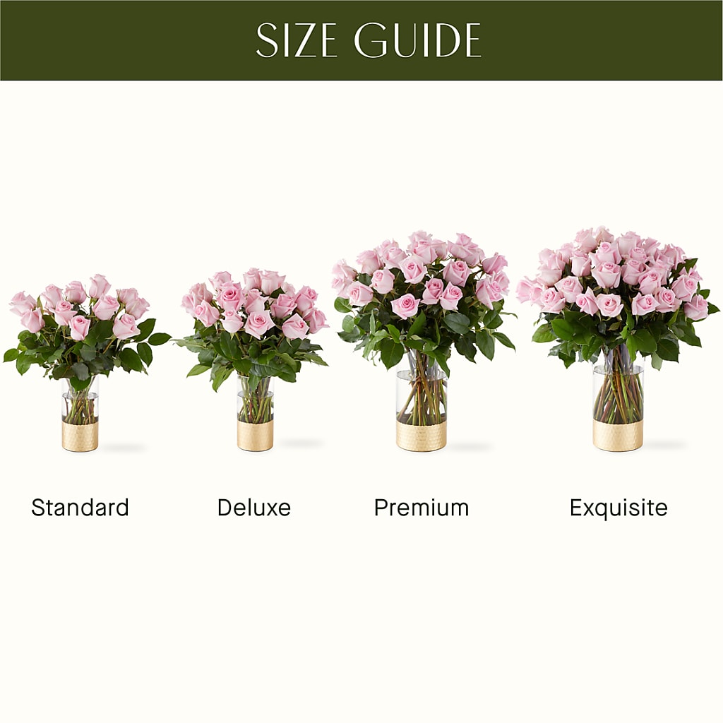 Picture Perfect Pink Rose Bouquet – VASEFUL FLOWERS & GIFTS, Princeton NJ