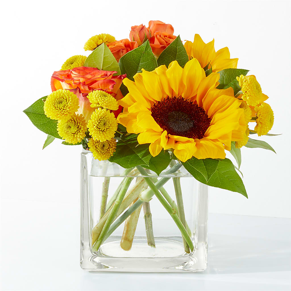 Picnic in the Park Bouquet – VASEFUL FLOWERS & GIFTS, Princeton NJ