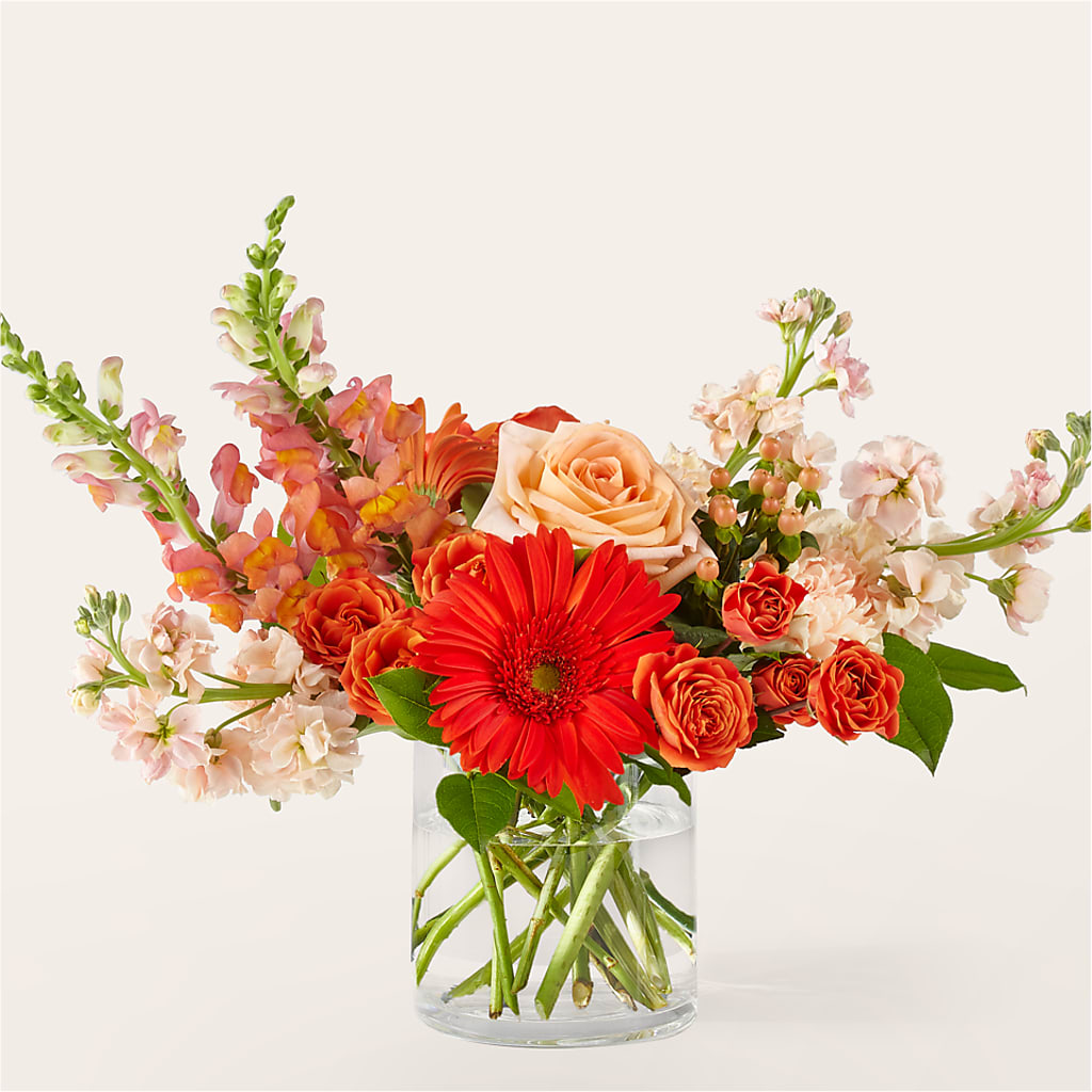 Paloma Please Bouquet – VASEFUL FLOWERS & GIFTS, Princeton NJ