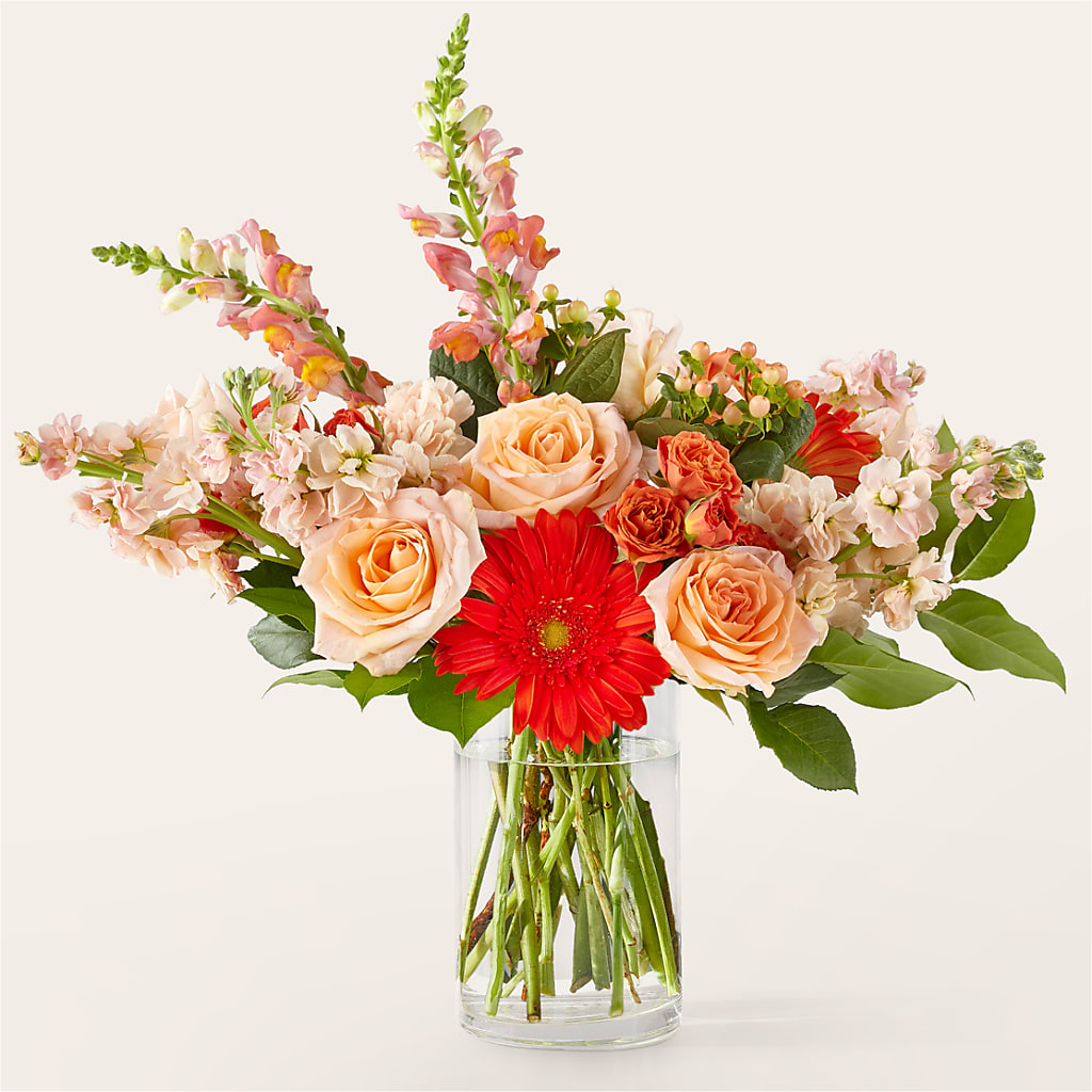 Paloma Please Bouquet – VASEFUL FLOWERS & GIFTS, Princeton NJ