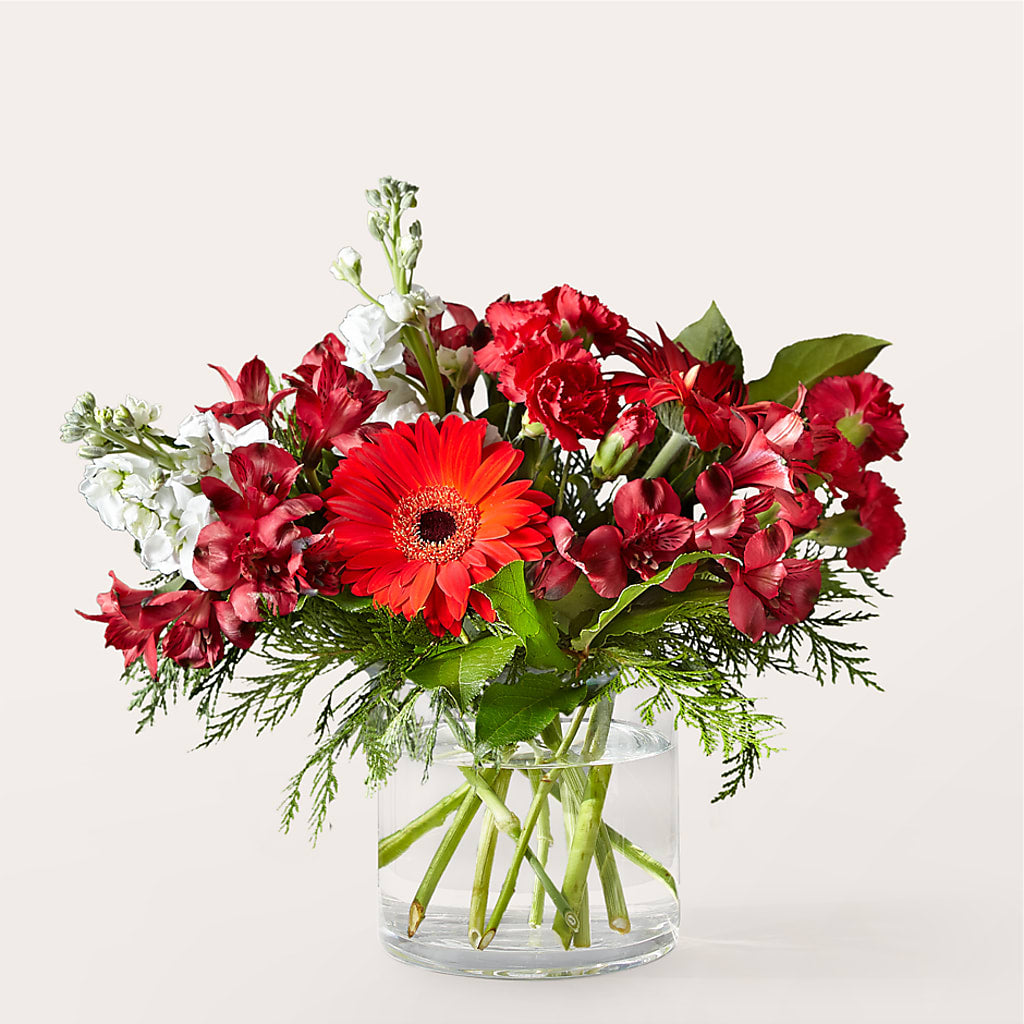 Holidaisy Bouquet – VASEFUL FLOWERS & GIFTS, Princeton NJ