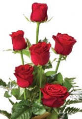 Additional Roses