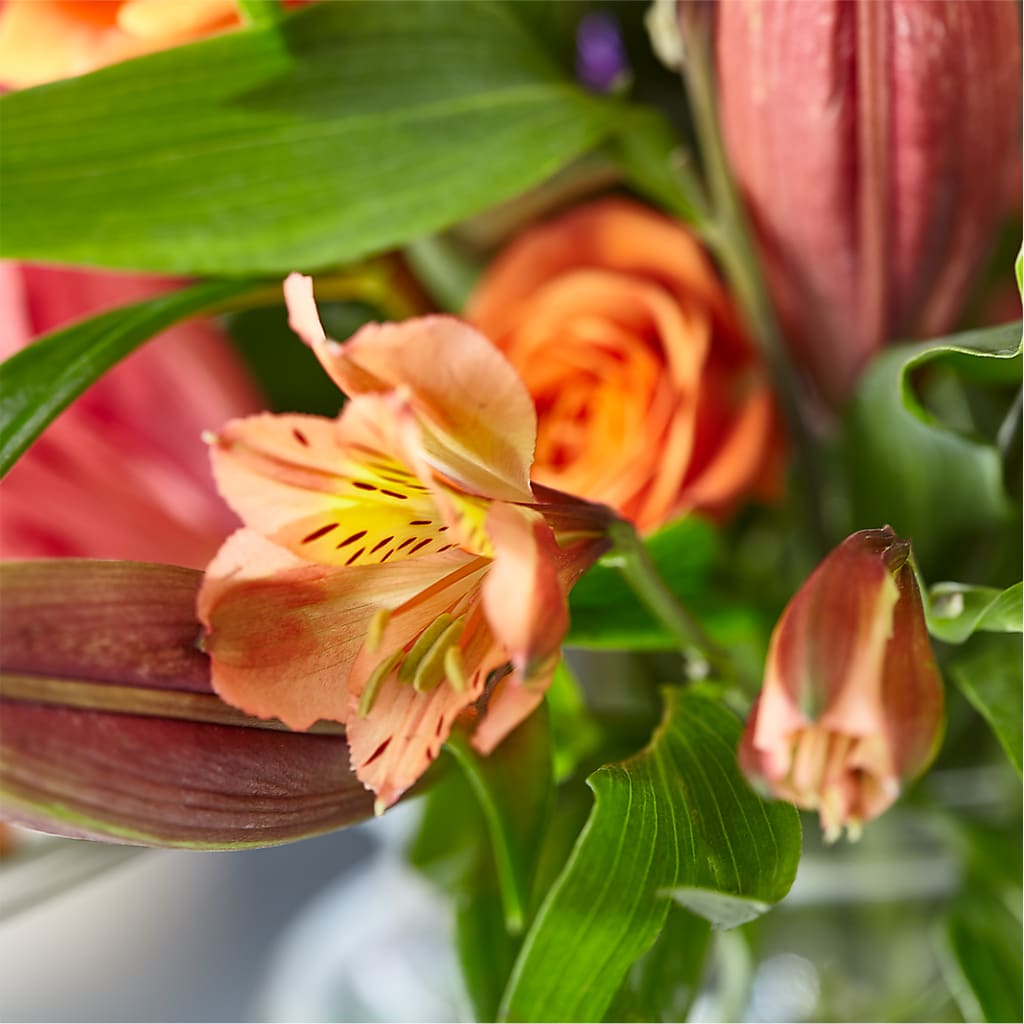 Bold & Bright – A Florist Original – VASEFUL FLOWERS & GIFTS, Princeton NJ