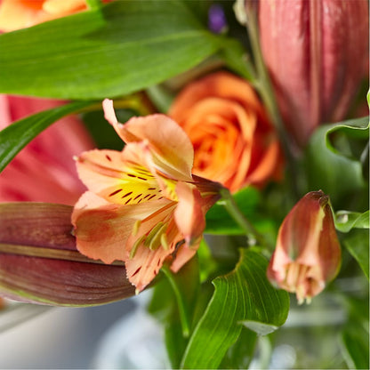 Bold & Bright – A Florist Original – VASEFUL FLOWERS & GIFTS, Princeton NJ
