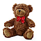 Adorable Plush Bear – VASEFUL FLOWERS & GIFTS, Princeton NJ