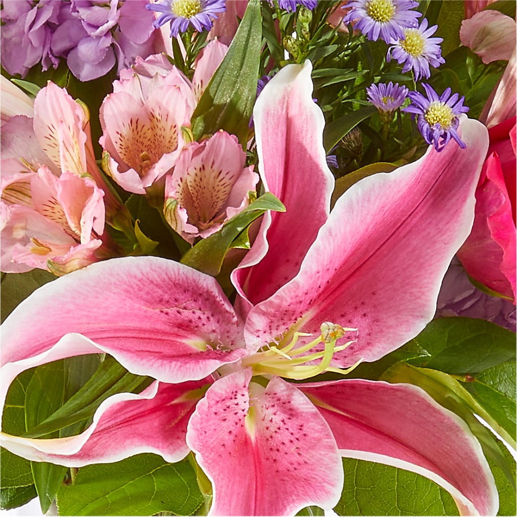 Written in the Stars Bouquet – VASEFUL FLOWERS & GIFTS, Princeton NJ