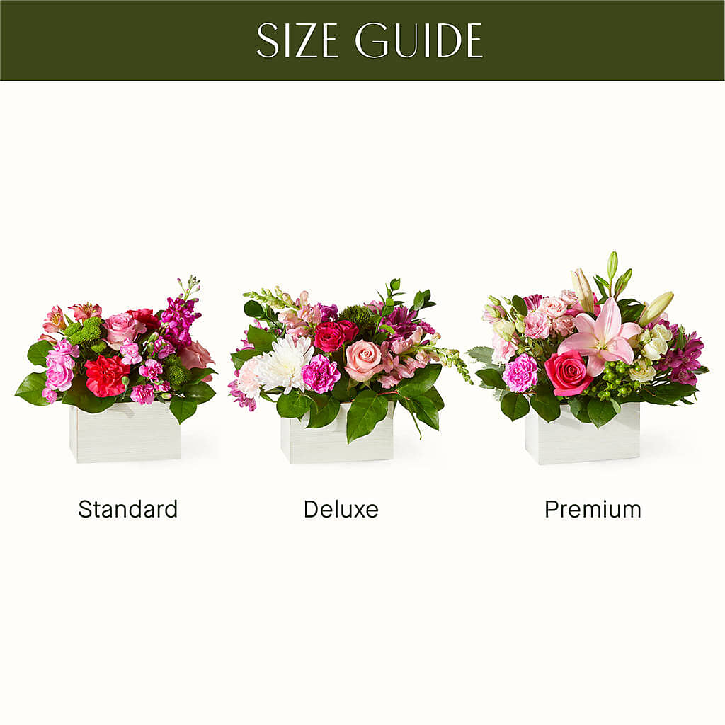Sweetberry Box – A Florist Original – VASEFUL FLOWERS & GIFTS, Princeton NJ