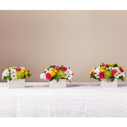 Sorbet Bouquet – VASEFUL FLOWERS & GIFTS, Princeton NJ