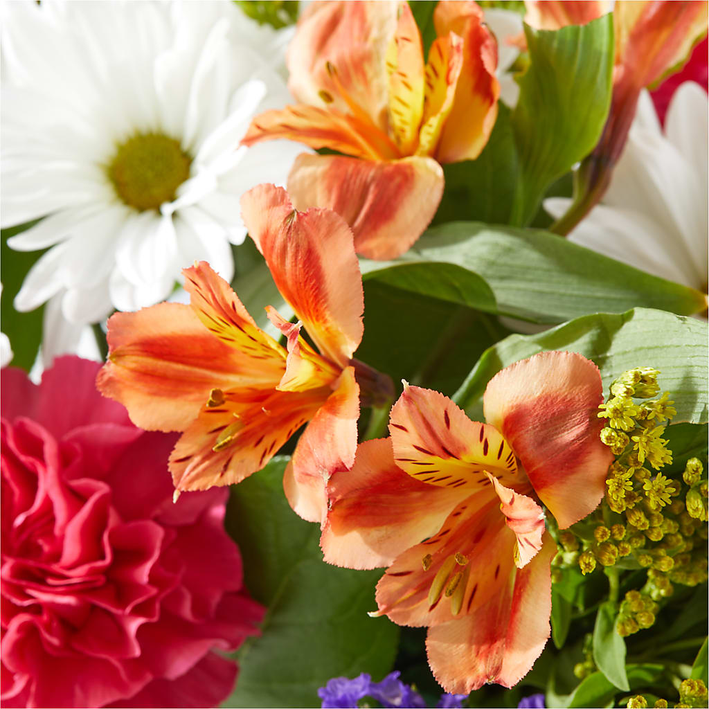 Oopsie Daisy Box Bouquet – VASEFUL FLOWERS & GIFTS, Princeton NJ