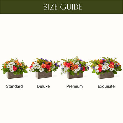 Oopsie Daisy Box Bouquet – VASEFUL FLOWERS & GIFTS, Princeton NJ
