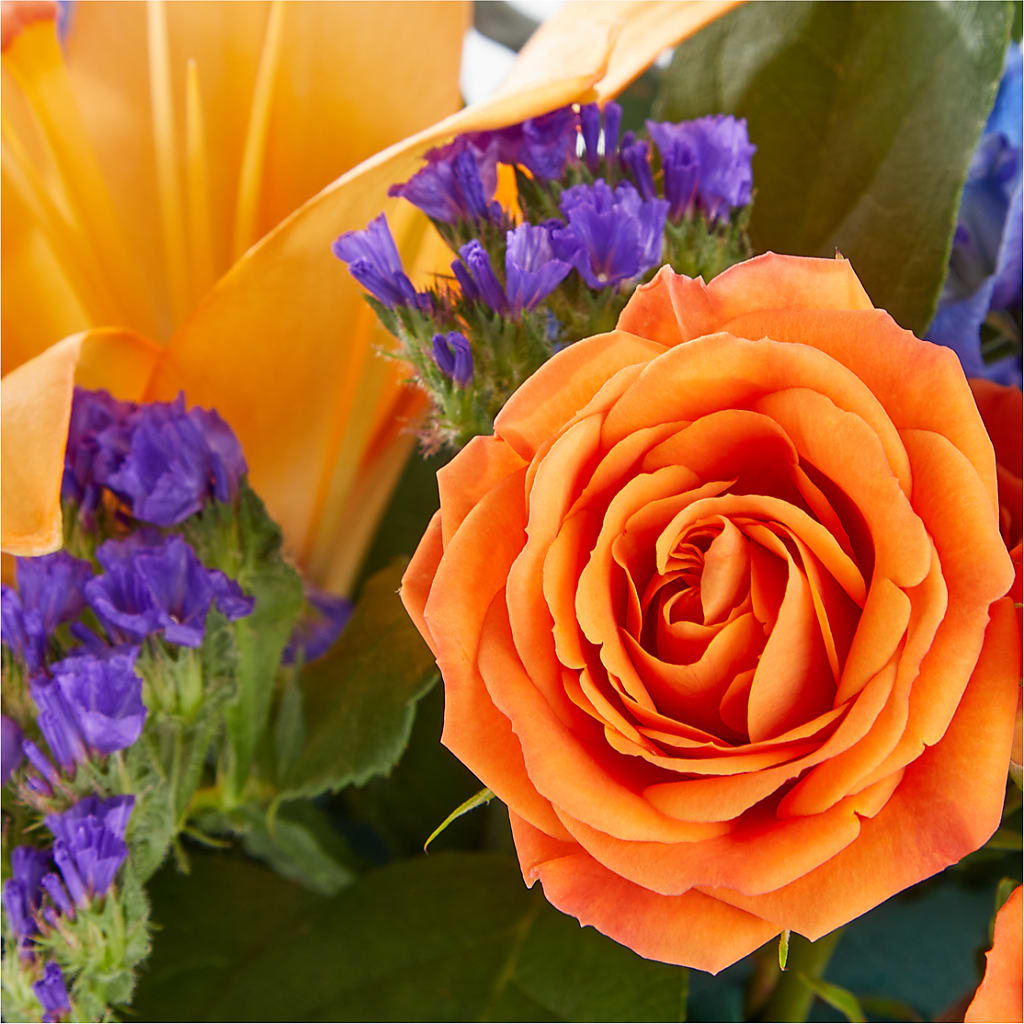 Radiant Citrus Box Bouquet – VASEFUL FLOWERS & GIFTS, Princeton NJ