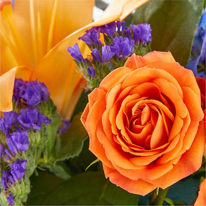 Radiant Citrus Box Bouquet – VASEFUL FLOWERS & GIFTS, Princeton NJ