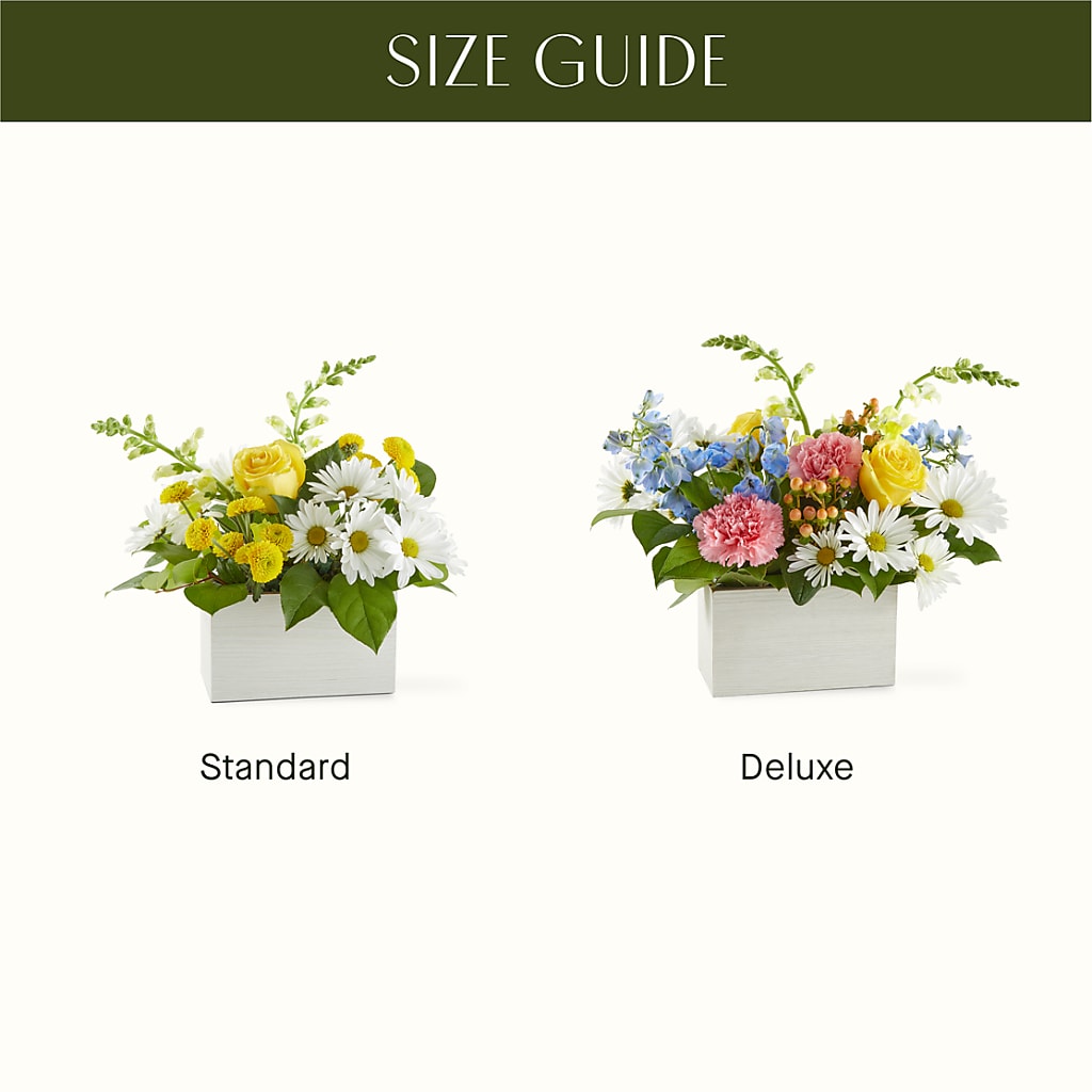 Sun Salutation Box Bouquet – VASEFUL FLOWERS & GIFTS, Princeton NJ