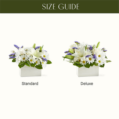 Beyond Blue Box Bouquet – VASEFUL FLOWERS & GIFTS, Princeton NJ