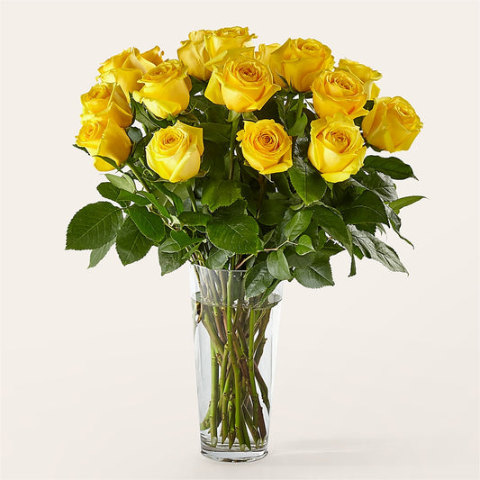 Long Stem Yellow Rose Bouquet – VASEFUL FLOWERS & GIFTS, Princeton NJ
