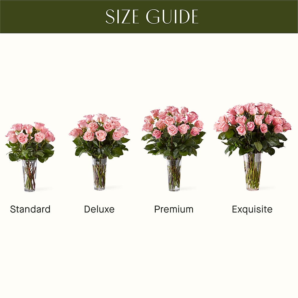 Long Stem Pink Rose Bouquet – VASEFUL FLOWERS & GIFTS, Princeton NJ