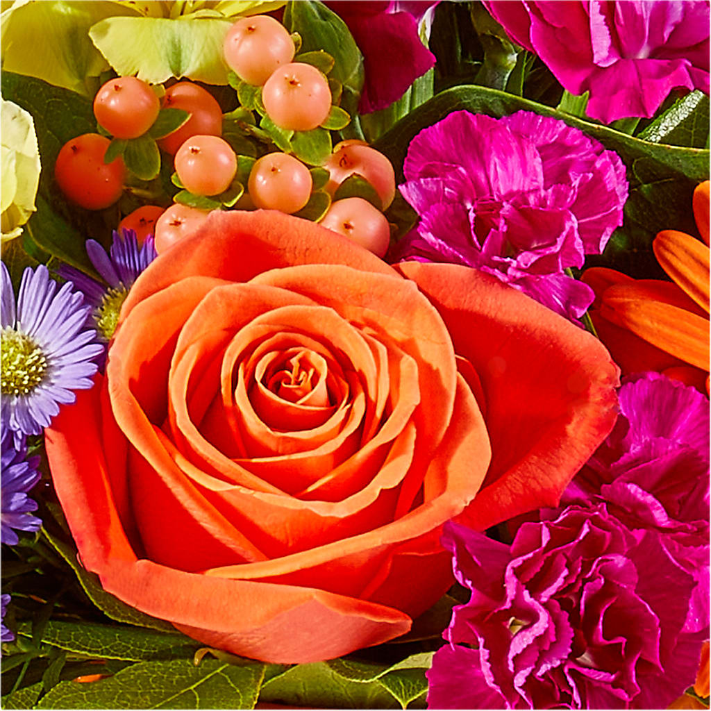 Tricks & Treats Pumpkin – VASEFUL FLOWERS & GIFTS, Princeton NJ