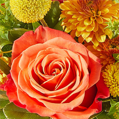 Gourdgeous Pumpkin – VASEFUL FLOWERS & GIFTS, Princeton NJ