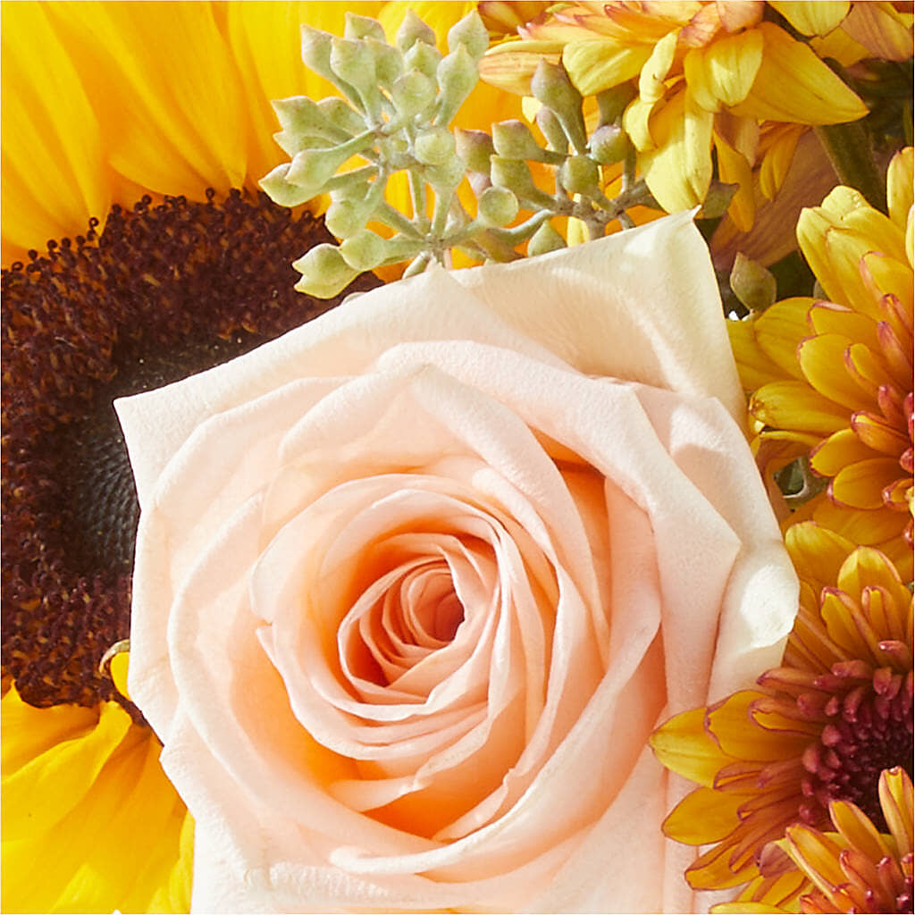 Pumpkin to Talk About Bouquet – VASEFUL FLOWERS & GIFTS, Princeton NJ