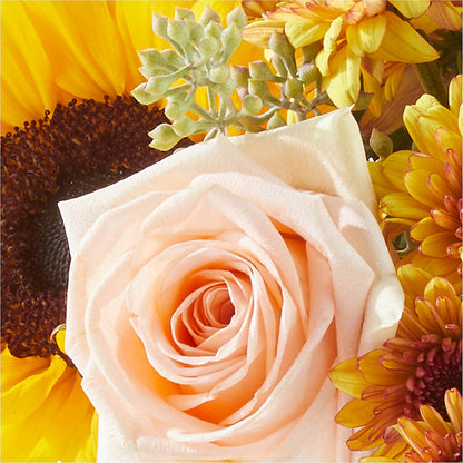 Pumpkin to Talk About Bouquet – VASEFUL FLOWERS & GIFTS, Princeton NJ