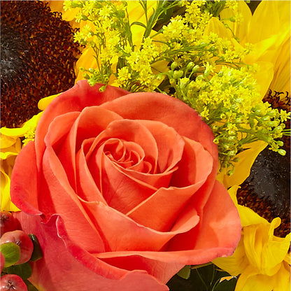 Pick of the Patch Pumpkin Bouquet – VASEFUL FLOWERS & GIFTS, Princeton NJ