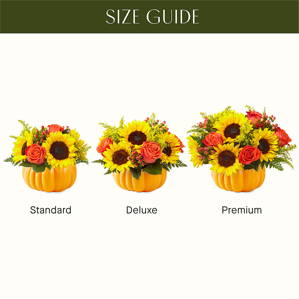 Pick of the Patch Pumpkin Bouquet – VASEFUL FLOWERS & GIFTS, Princeton NJ