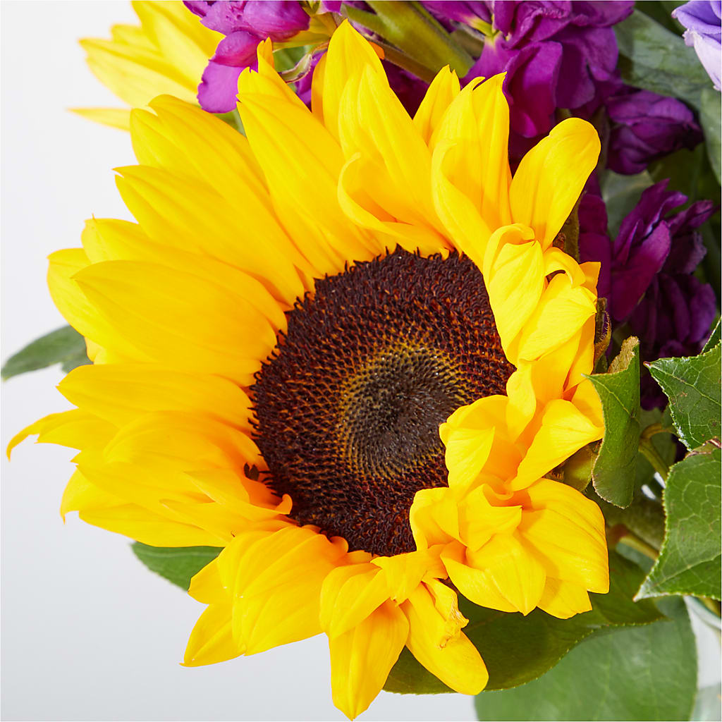 Catching Rays Bouquet – VASEFUL FLOWERS & GIFTS, Princeton NJ