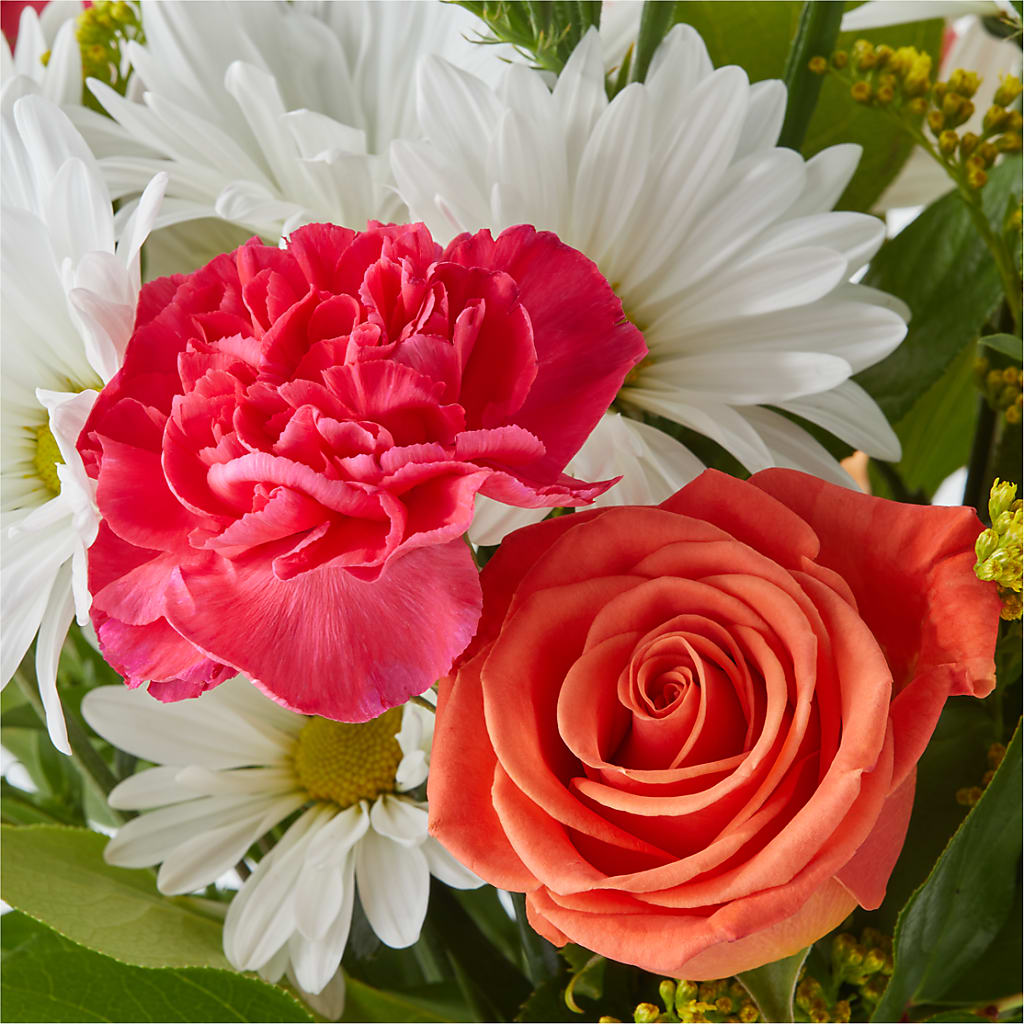 Oopsie Daisy Bouquet – VASEFUL FLOWERS & GIFTS, Princeton NJ