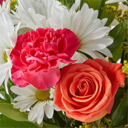 Oopsie Daisy Bouquet – VASEFUL FLOWERS & GIFTS, Princeton NJ