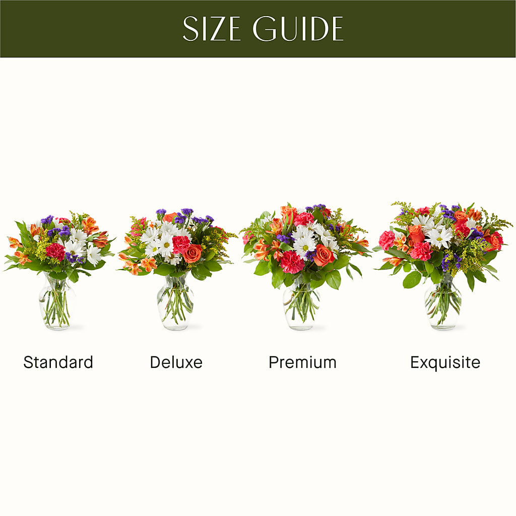 Oopsie Daisy Bouquet – VASEFUL FLOWERS & GIFTS, Princeton NJ