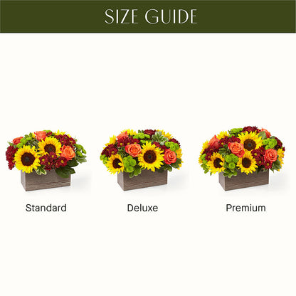 Happy Harvest Garden – VASEFUL FLOWERS & GIFTS, Princeton NJ