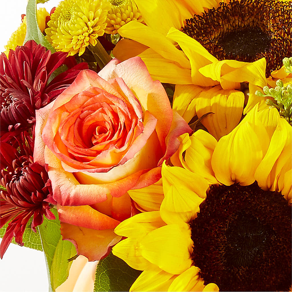 Golden Gourd Pumpkin Bouquet – VASEFUL FLOWERS & GIFTS, Princeton NJ