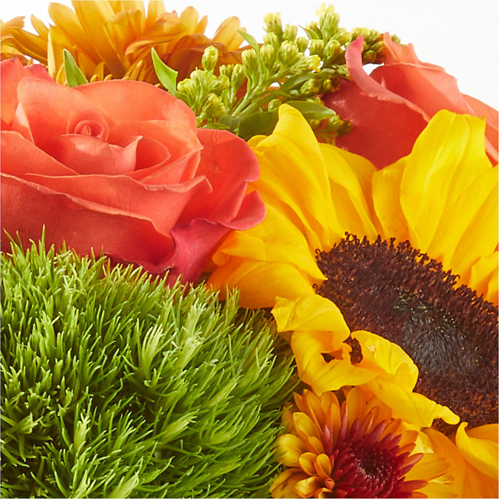 Farmer’s Market Stroll Bouquet – VASEFUL FLOWERS & GIFTS, Princeton NJ
