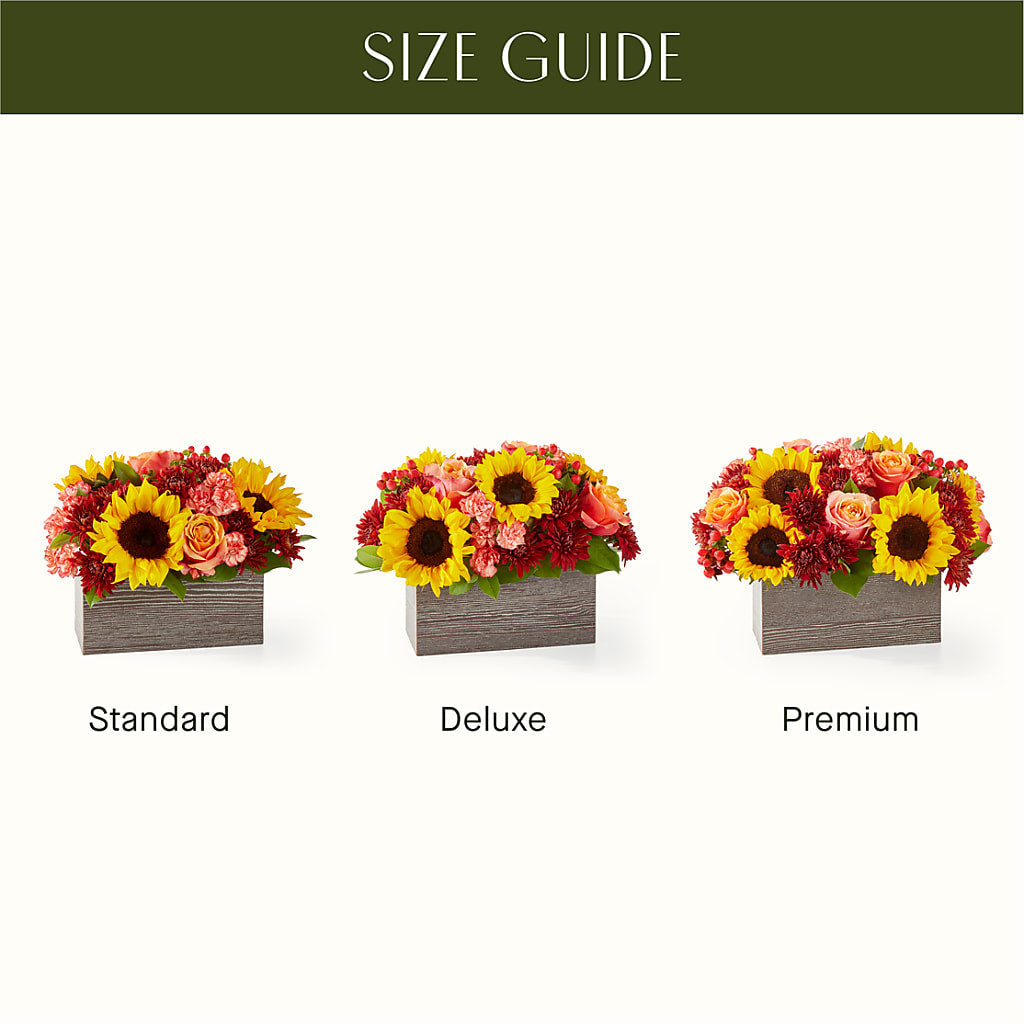 Fresh Cider Bouquet – VASEFUL FLOWERS & GIFTS, Princeton NJ