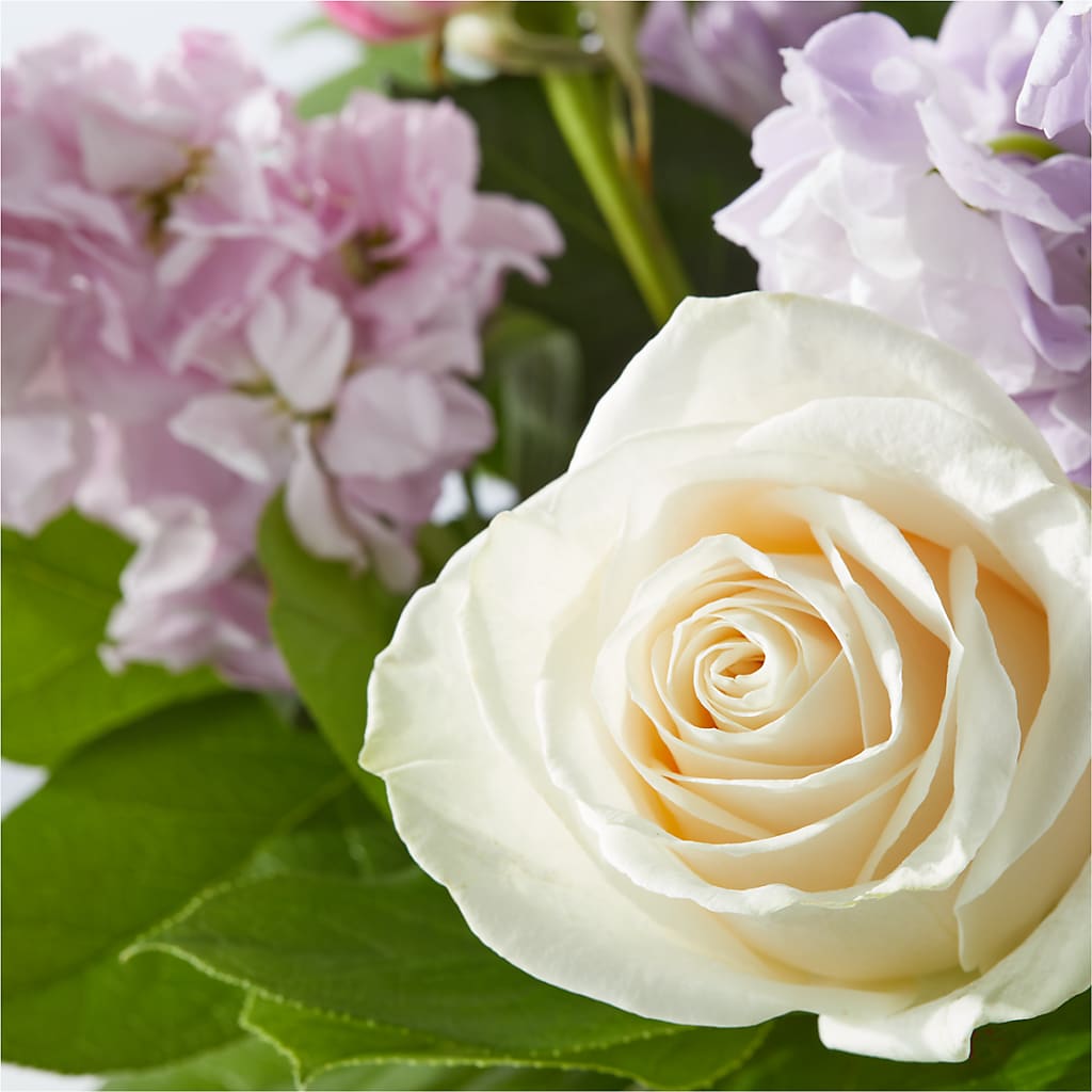 Springtime Spritz Bouquet – VASEFUL FLOWERS & GIFTS, Princeton NJ