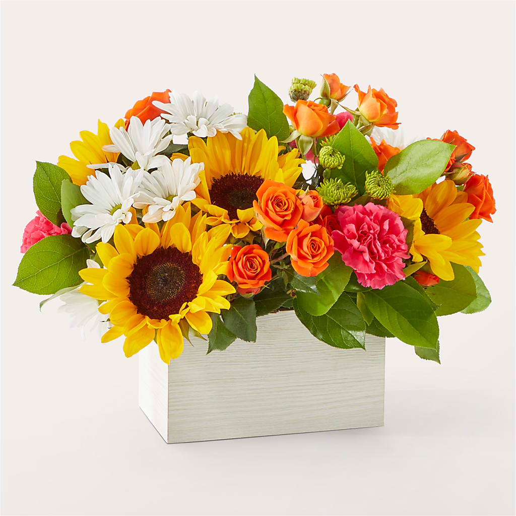 Sun-drenched Blooms Box Bouquet – VASEFUL FLOWERS & GIFTS, Princeton NJ