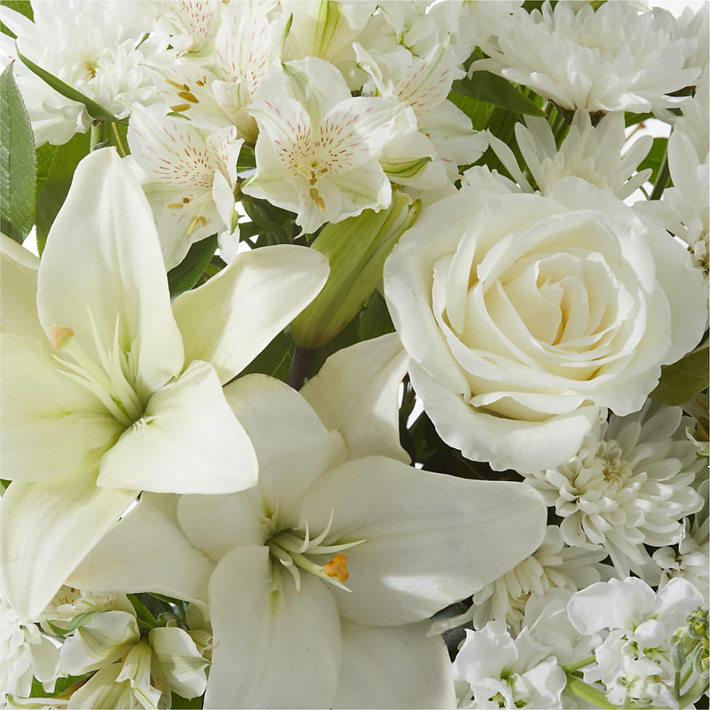 Peaceful Reflections Arrangement – VASEFUL FLOWERS & GIFTS, Princeton NJ