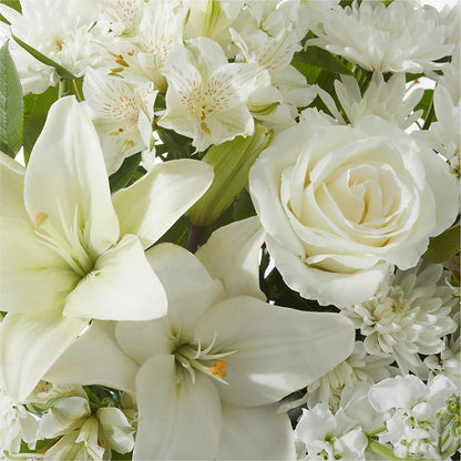 Peaceful Reflections Arrangement – VASEFUL FLOWERS & GIFTS, Princeton NJ