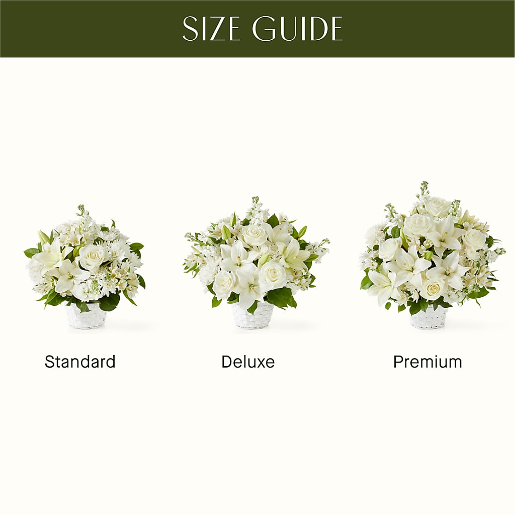 Peaceful Reflections Arrangement – VASEFUL FLOWERS & GIFTS, Princeton NJ