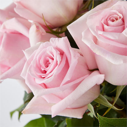 Picture Perfect Pink Rose Bouquet – VASEFUL FLOWERS & GIFTS, Princeton NJ