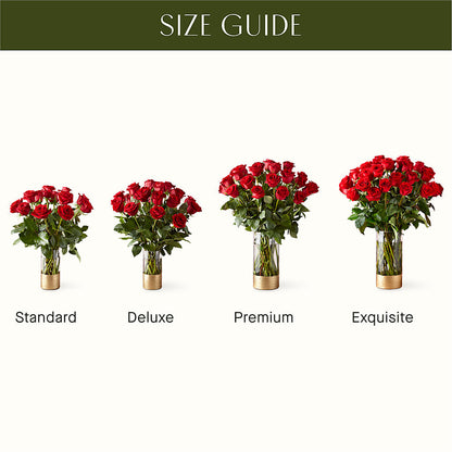 Classic Love Red Rose Bouquet – VASEFUL FLOWERS & GIFTS, Princeton NJ